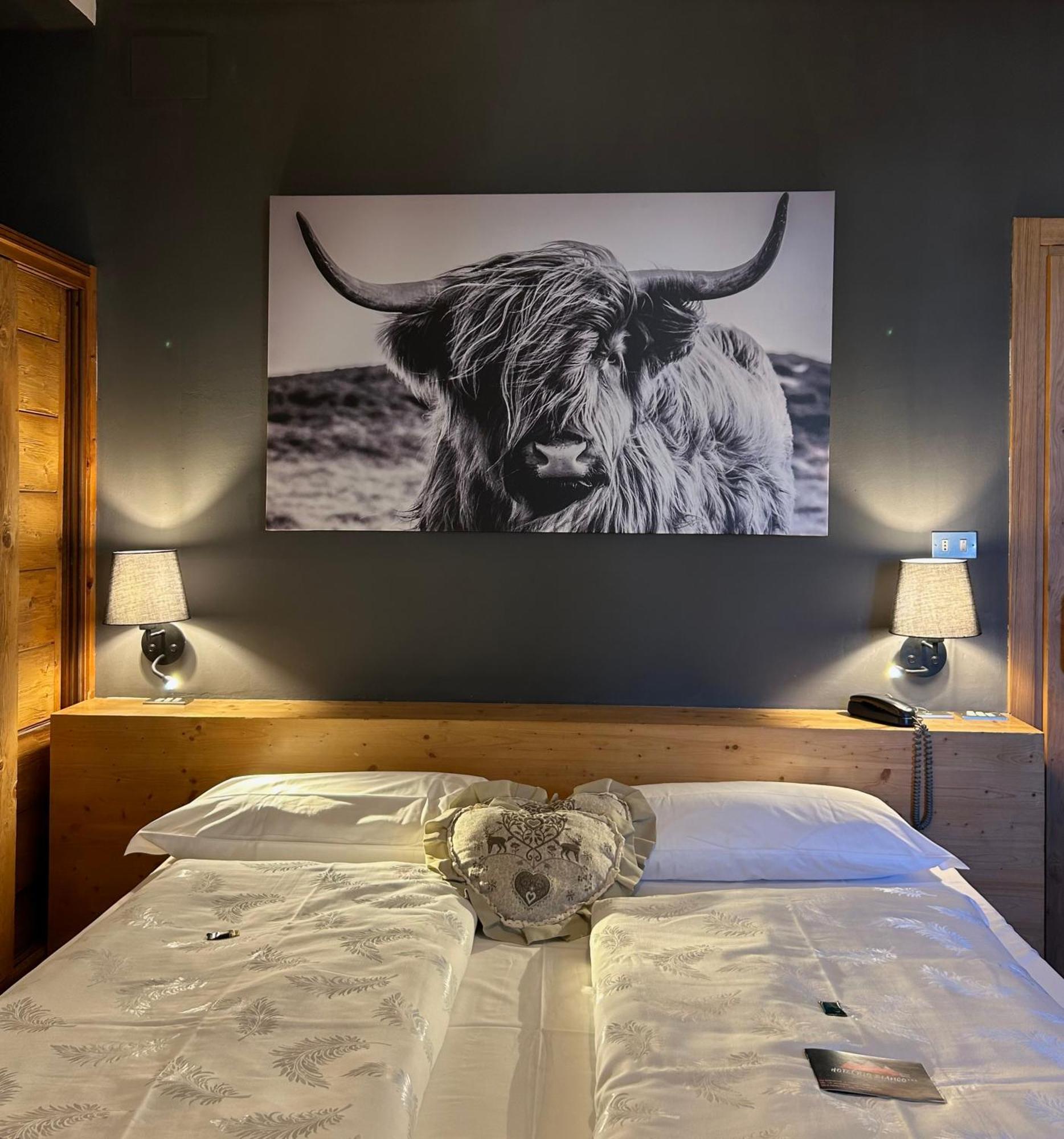 Hotel Rio Bianco Panchia Zewnętrze zdjęcie